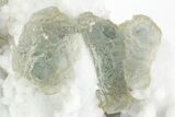 Cubic/Octahedral Fluorite Crystals on Quartz - Inner Mongolia #216794-1